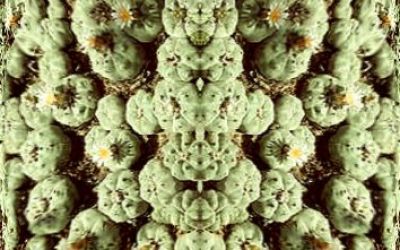 180579_1689446729020_7116677_n