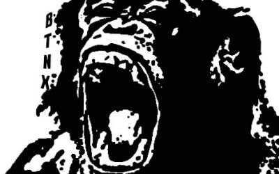 1980325899-affe-schimpanse-dxg74deRn09