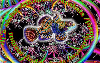 dreamfish160320020