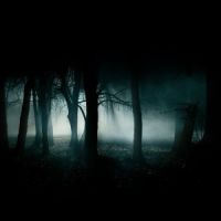 dark_forest_wallpaper_t2.jpg