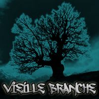 vieillebranche_vizu.jpg