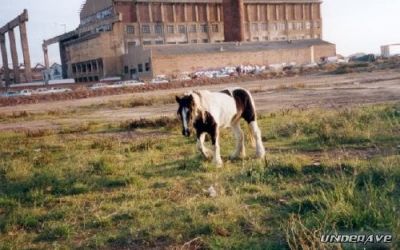 Acid Factory underave 09.jpg