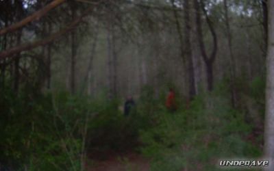 DSCN1041.JPG