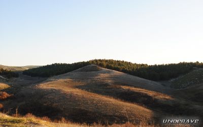DSC_0389