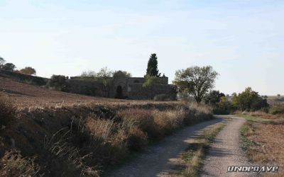 IMG_0942_1