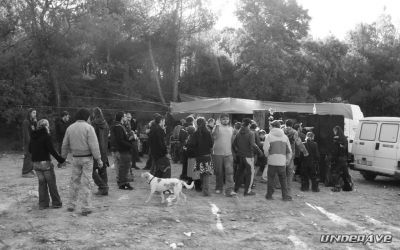 Kastanyaso 31-10-07 Boletaire 09.JPG