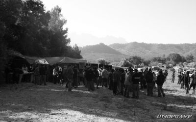 Kastanyaso 31-10-07 Boletaire 33.JPG