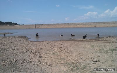 Photo_0065