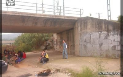 bistek 251005 aleoudie 06.jpg