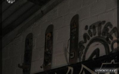 rizomatik 150706 electropendeja 03.jpg