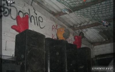 rizomatik 150706 electropendeja 07.jpg