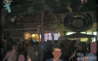rizomatik 150706 electropendeja 09.jpg