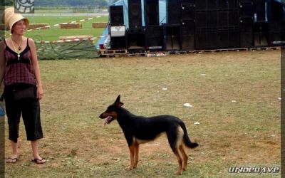 tekosud 2k6 kokos 12.jpg